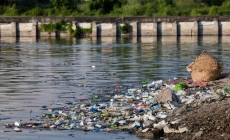 Источники загрязнения и расчет ущерба