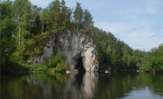 Учёные выявляют новые виды краснокнижных видов в природных, лесных парках и заказниках Свердловской области