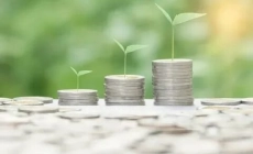 С 1 января изменены коды ОКТМО муниципальных образований🌿